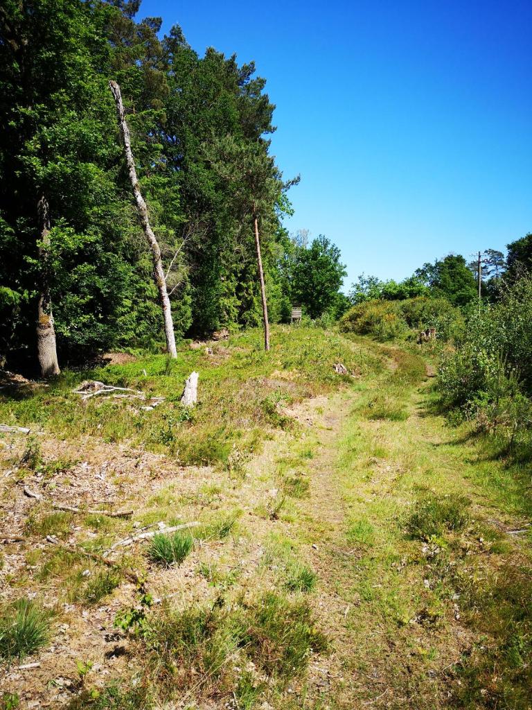 Lüttje Heide-Huus photo 3