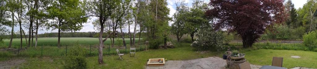 Lüttje Heide-Huus photo 1