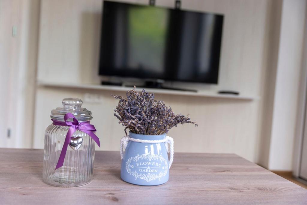 Apartmán u Větrníku photo 3