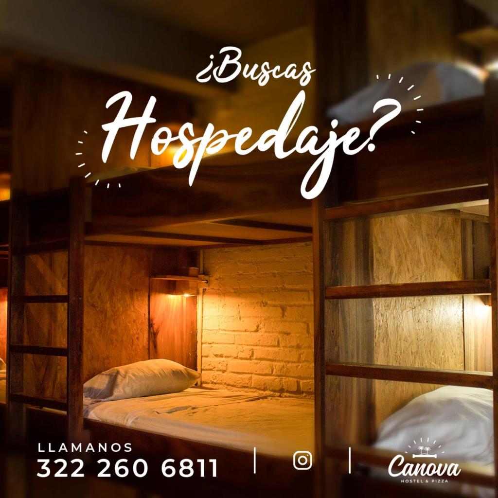 Canova Hostel & Pizza photo 1
