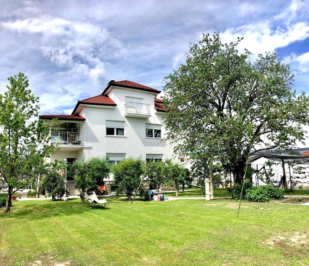 Apartments Andrej photo 1