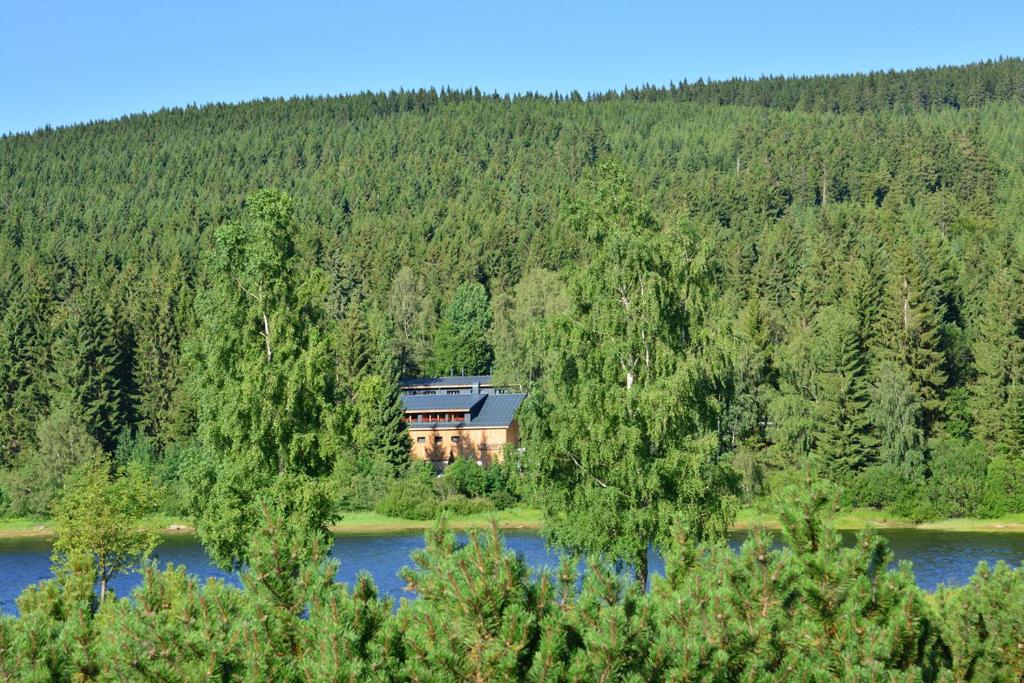 Montanie Resort photo 3