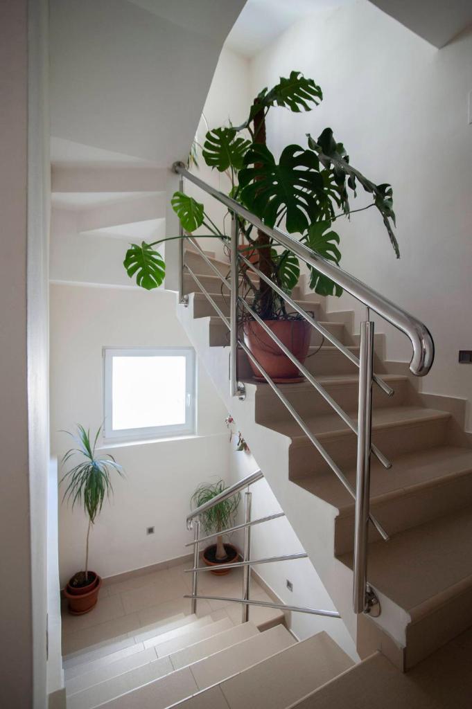 Студио (Номер-студио с террасой), Mandir apartments - Center