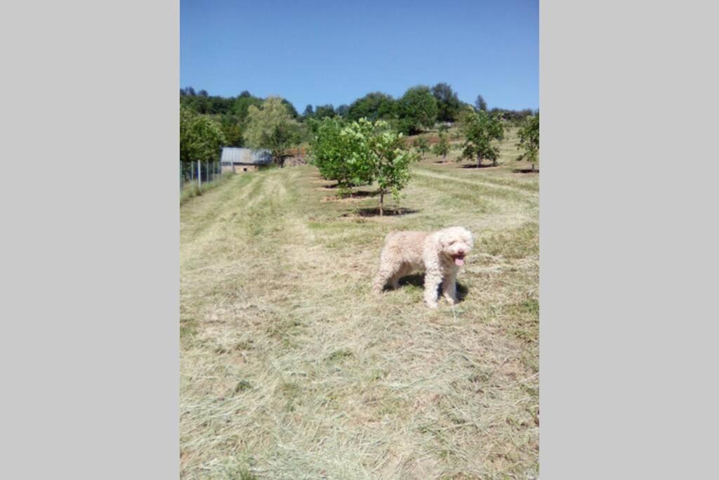LA TRUFFIERE photo 2
