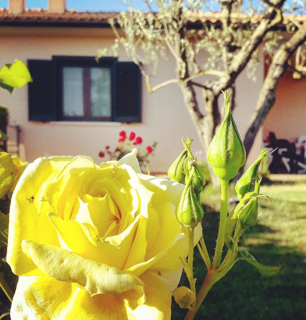 Residence Ai Campi Da Golf Saturnia photo 2
