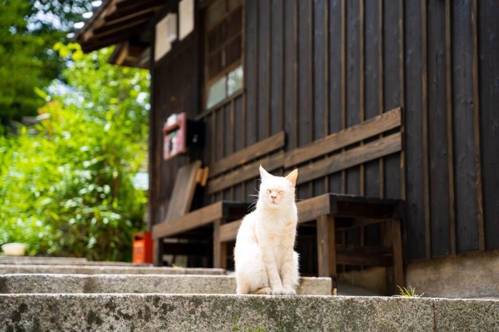 鞆猫庵 Tomo Nyahn photo 4