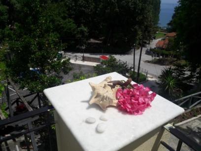 Niriides Apartment photo 2