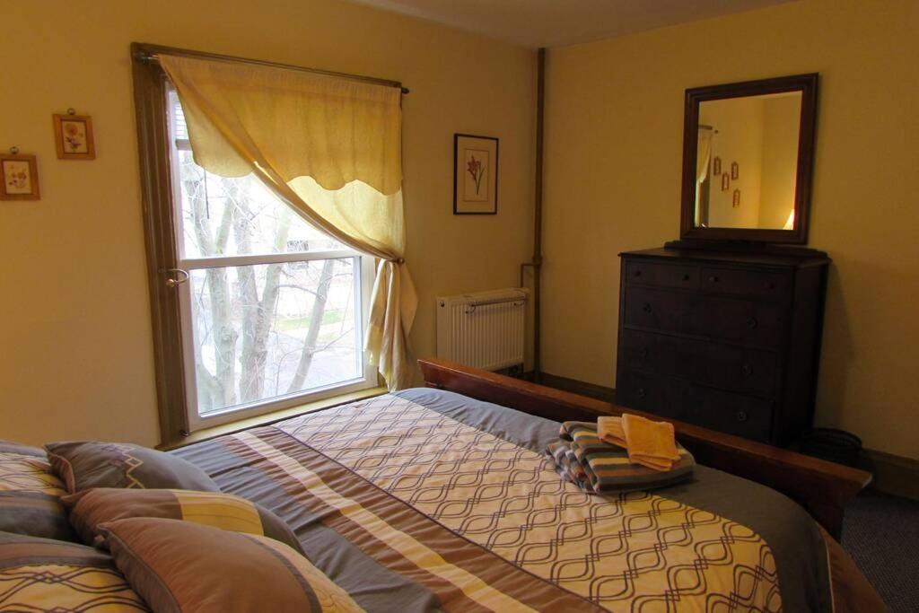 Great Gorge Guesthouse - Walk to the Falls, the Casino and all Downtown Restaurants - Across from the Aquarium photo 2
