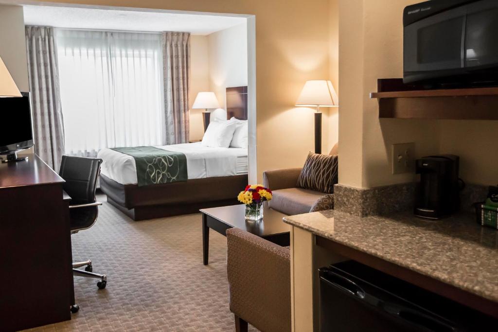 Comfort Suites University Area Notre Dame - South Bend image