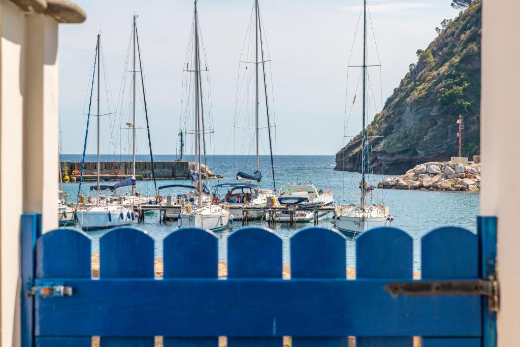 La finestra sul mare photo 2