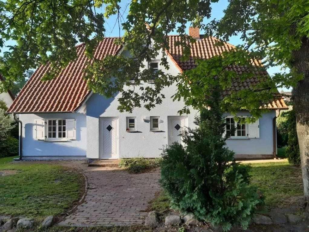 "Blaues Haus" photo 3