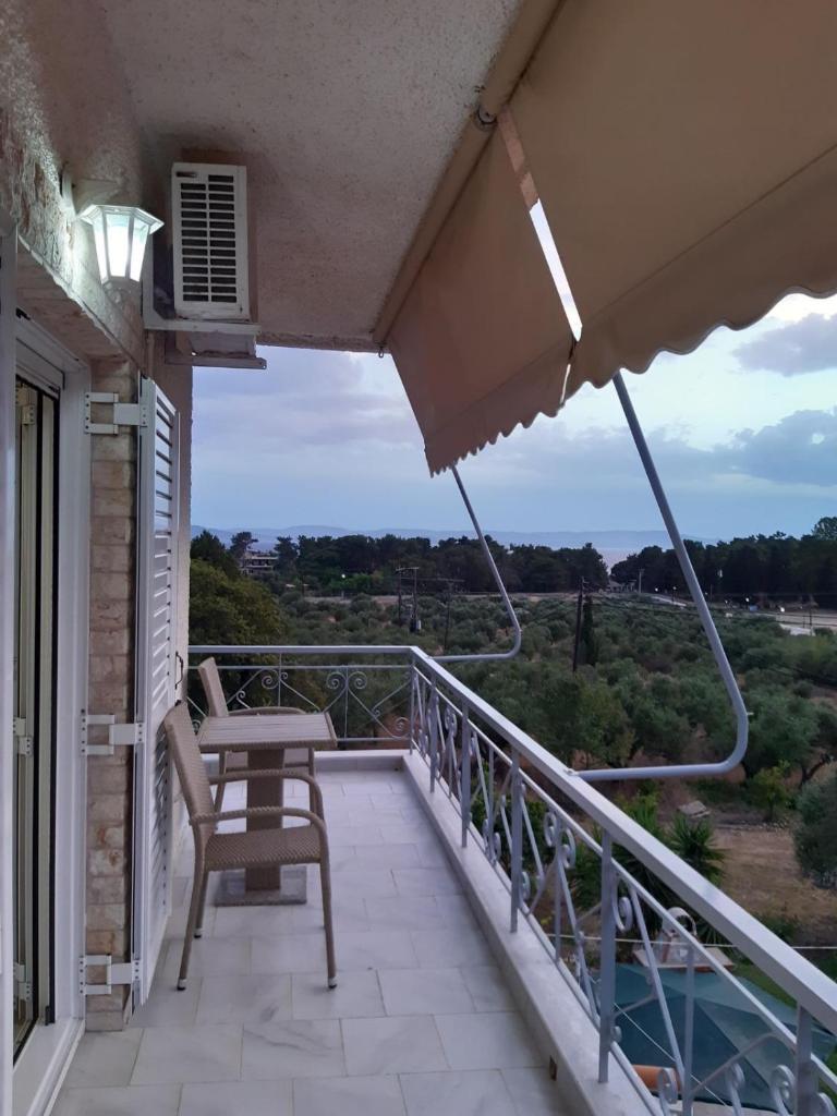 GIOTA ROOMS photo 1