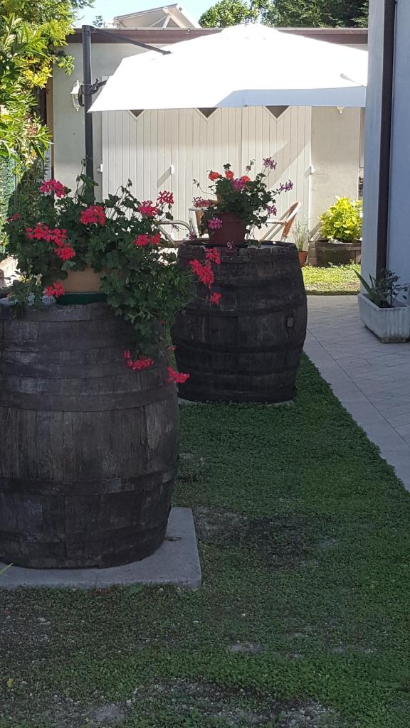 Le Botti B&B photo 4