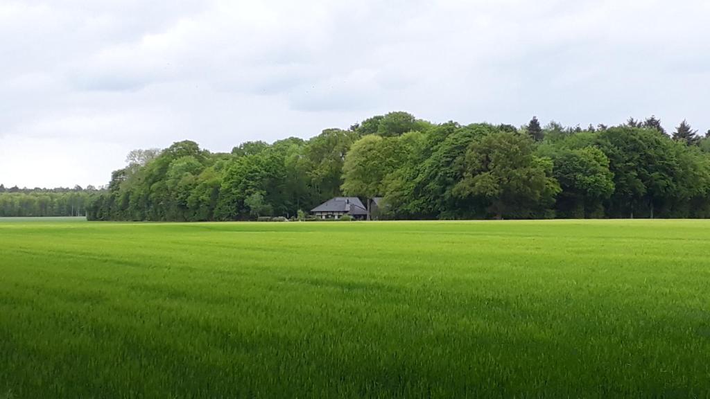 Heuerhaus Gut Einhaus photo 2