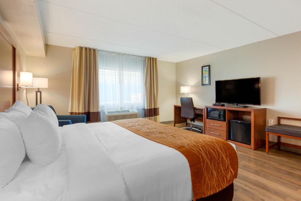 Comfort Inn & Suites photo 3