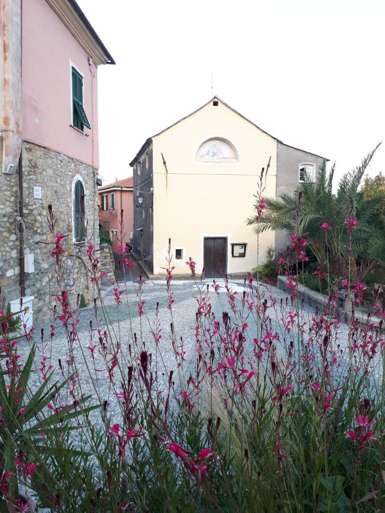 Casa Sant'Anna Agriturismo photo 4