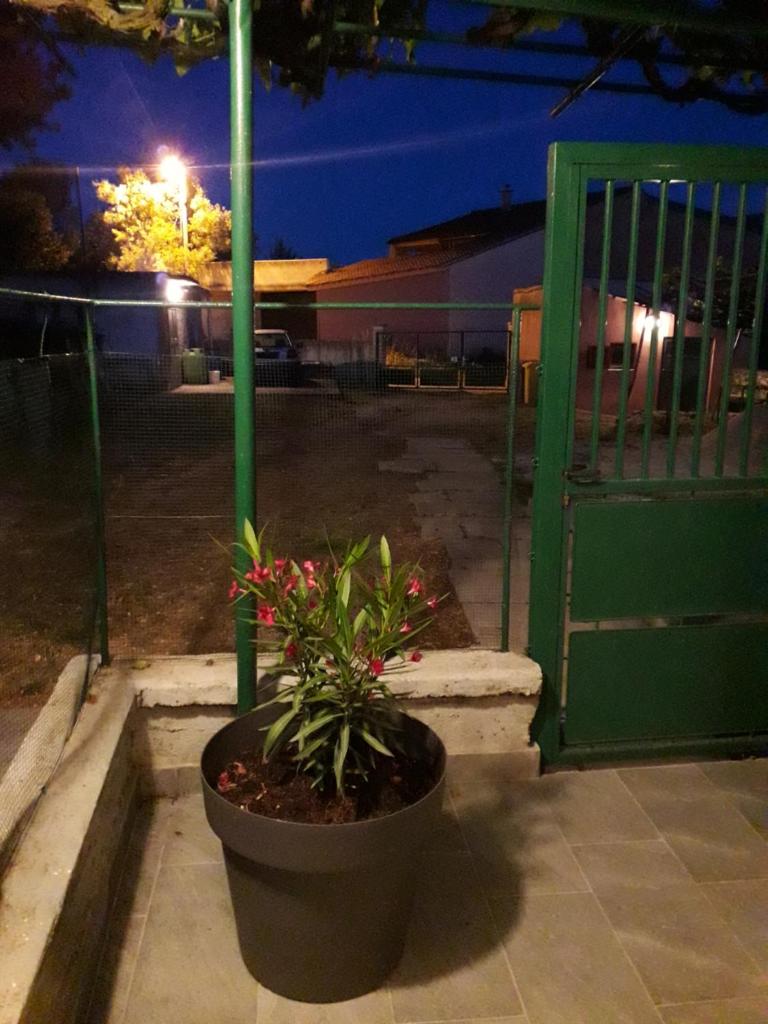 Apartments Alen Pula photo 2