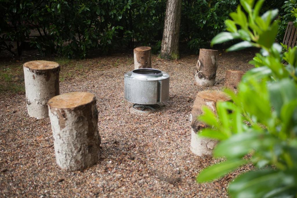 Heidehaus Lippl am Steinhuder Meer photo 4