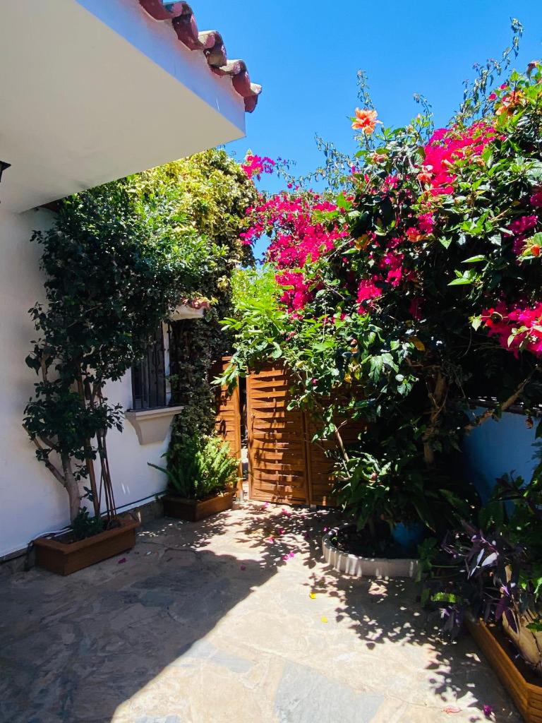 Villa Palma photo 2