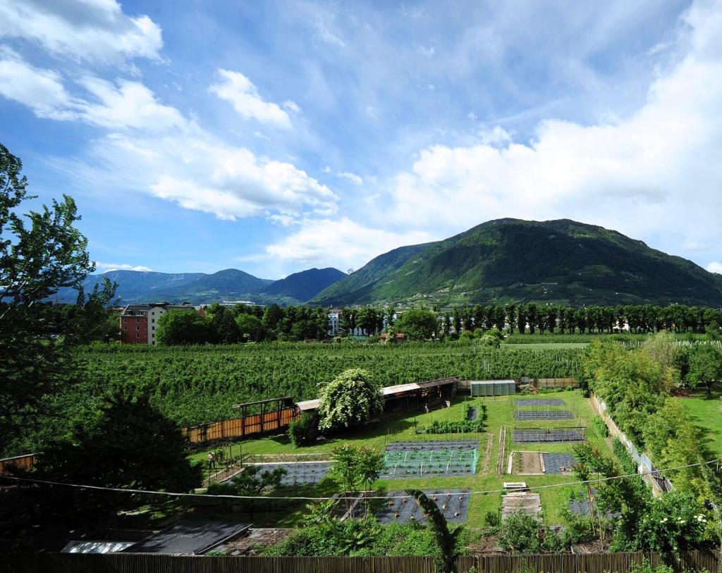 Villa Sasso photo 4