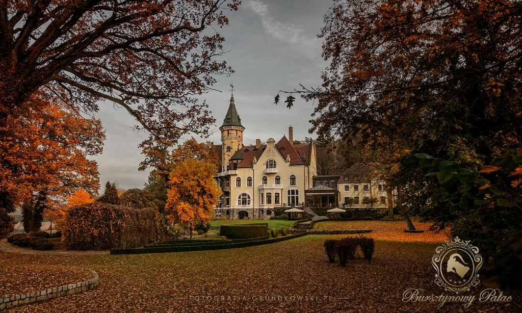 Hotel Bursztynowy Palac