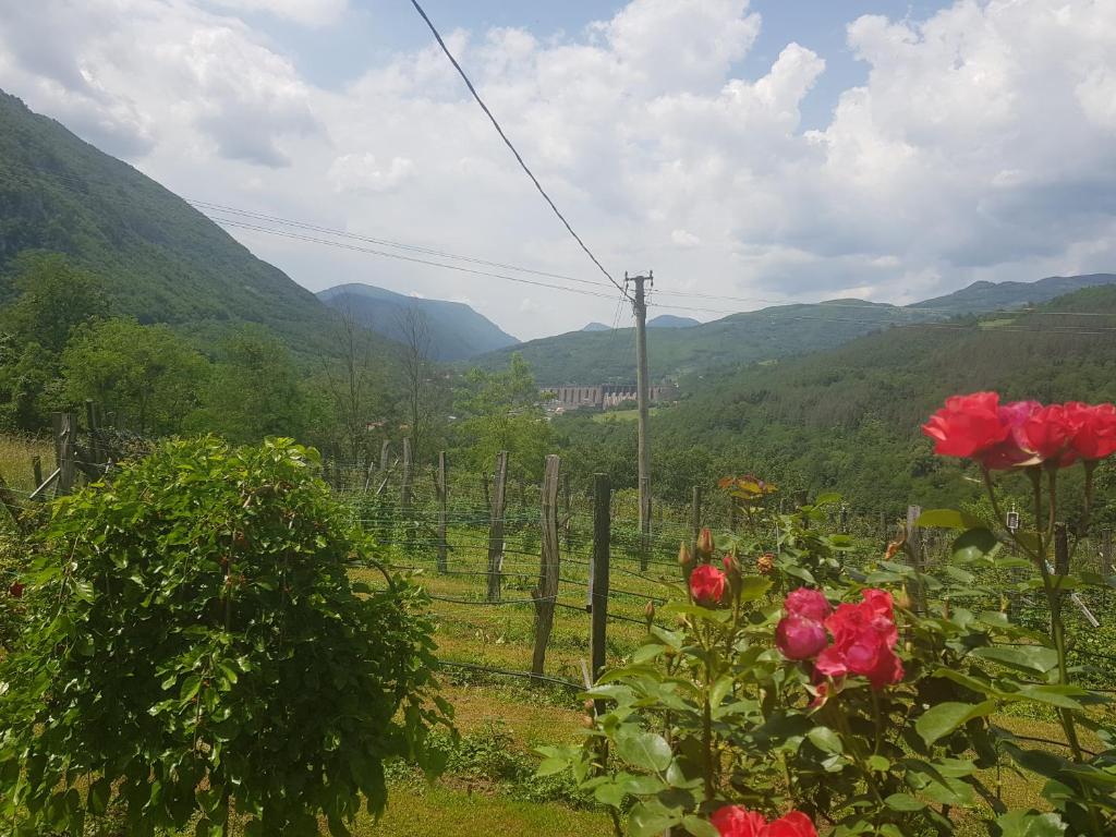 Kuća za odmor Andrej photo 2