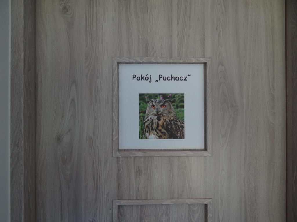 Nocleg u Sowy Pokoje Gościnne photo 3