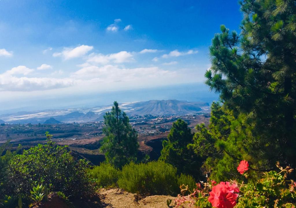 Tenerife Nature Retreat photo 2