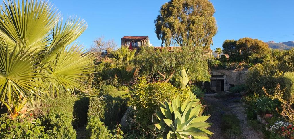Tenerife Nature Retreat photo 1