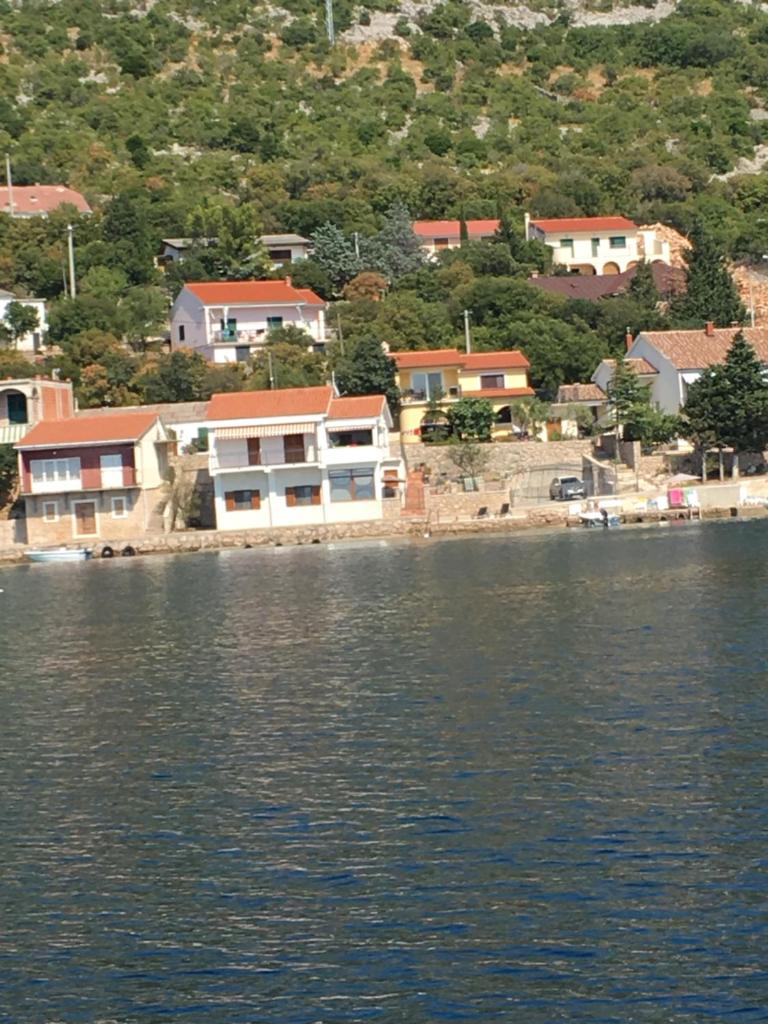 Silva photo 2