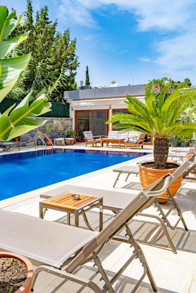 Maye Residence photo 4