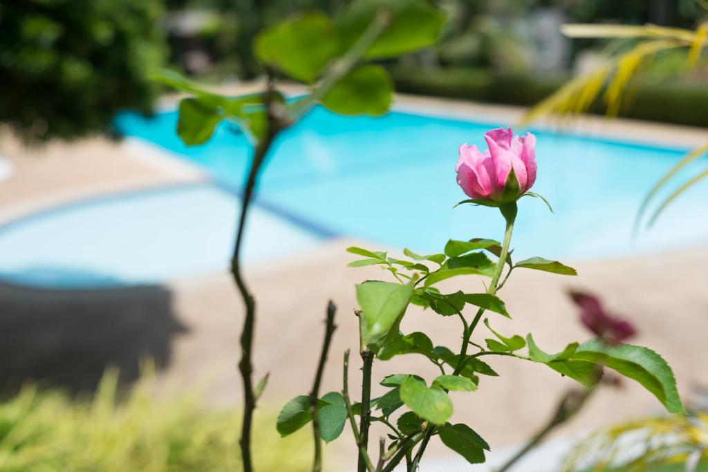 Pen Villa Hotel, Surin Beach - SHA Extra Plus photo 1