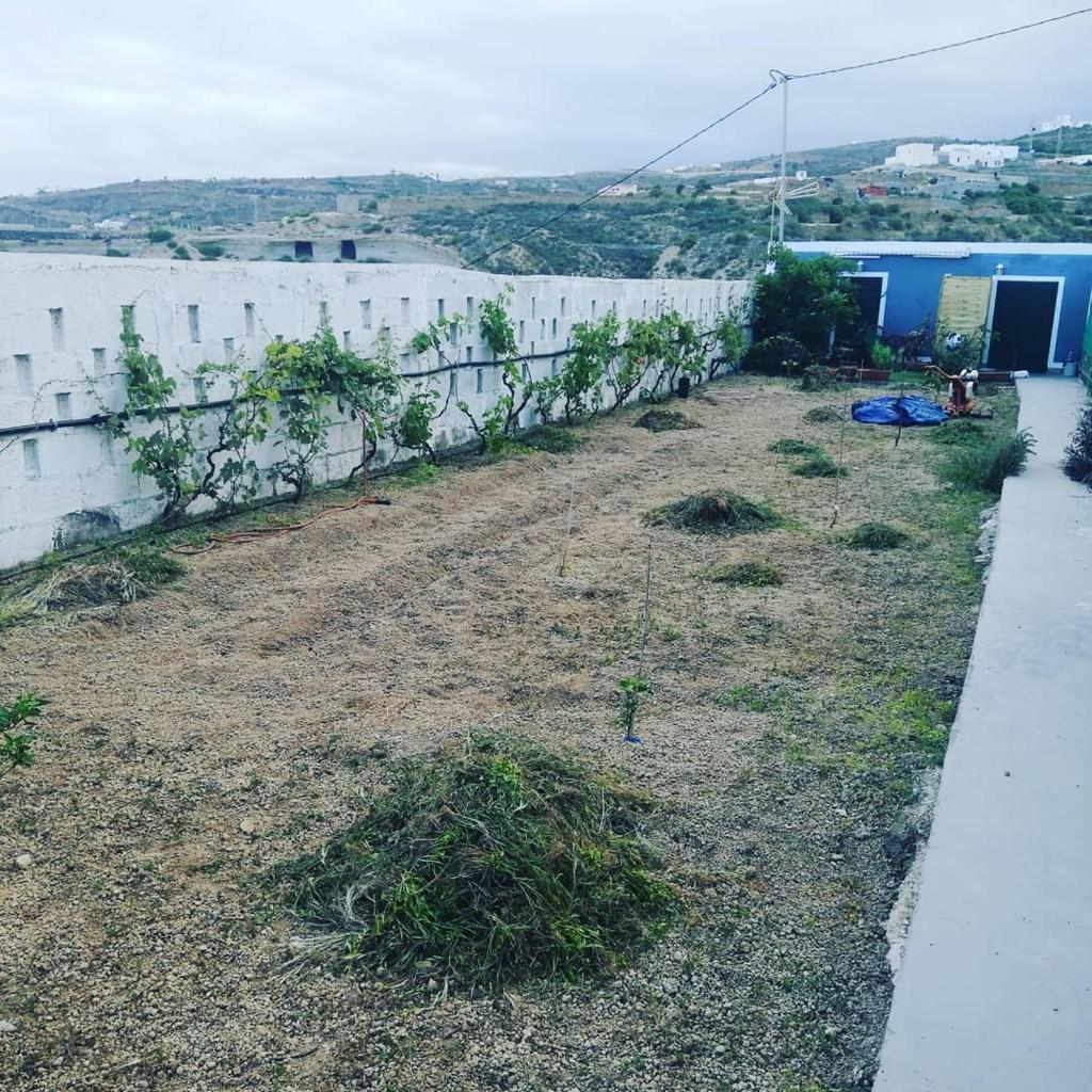 Yurta de Arico photo 3