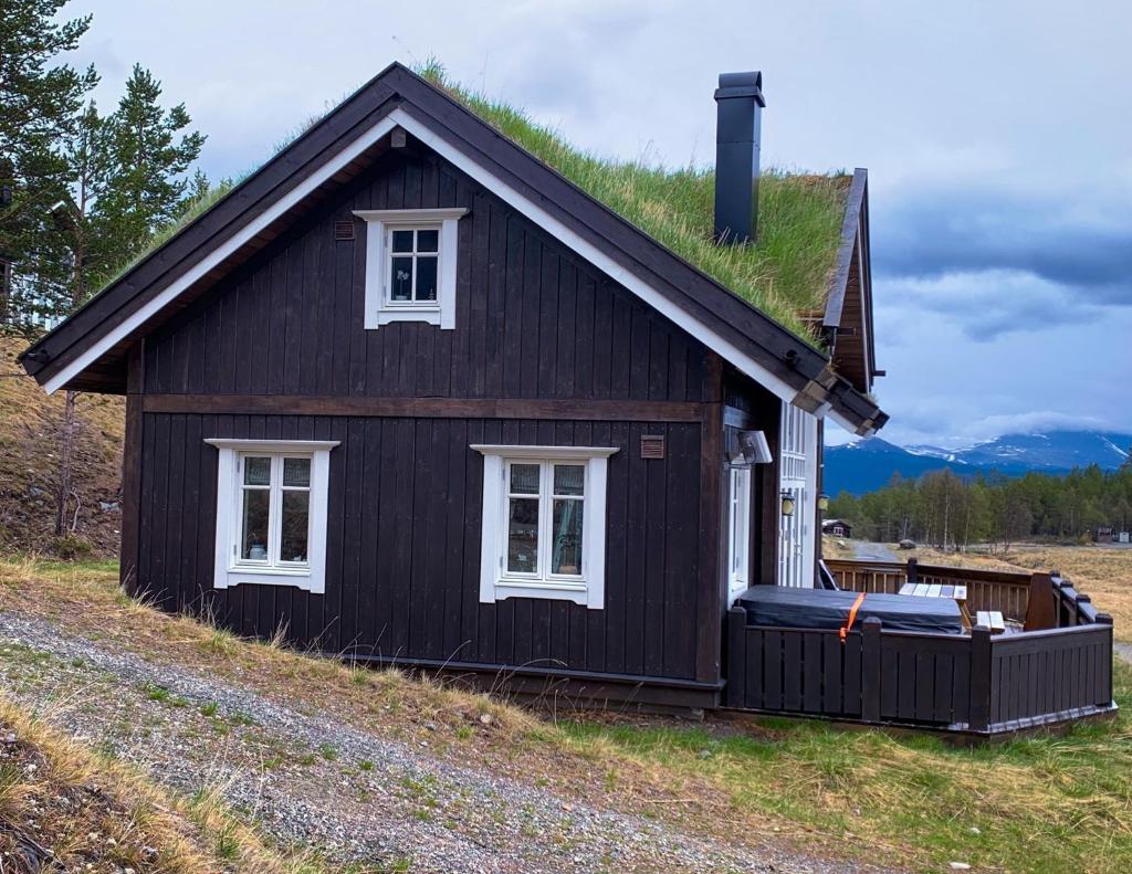 Lemonsjøen-Jotunheimen-Besseggen photo 2