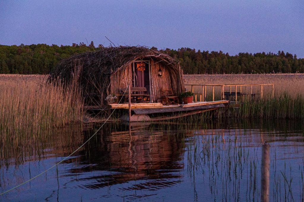 Bebru māja - Beaver house