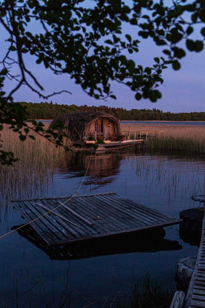 Bebru māja - Beaver house photo 4