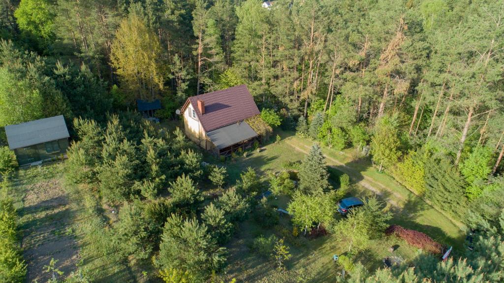 Gospodarstwo agroturystyczne nad jeziorem wśród lasów photo 1