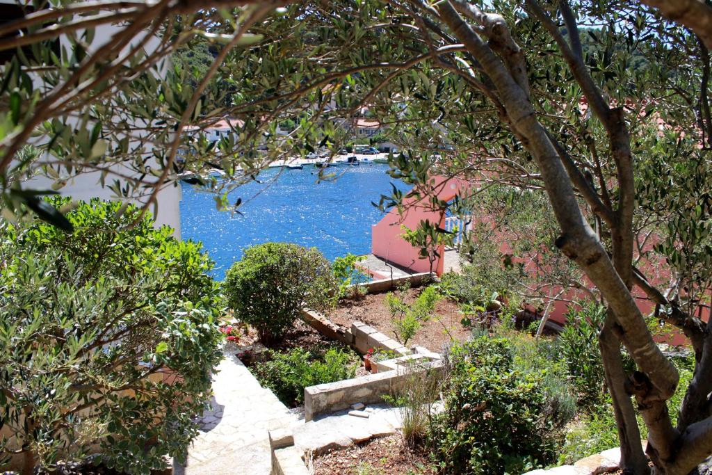 Apartman Riva photo 4