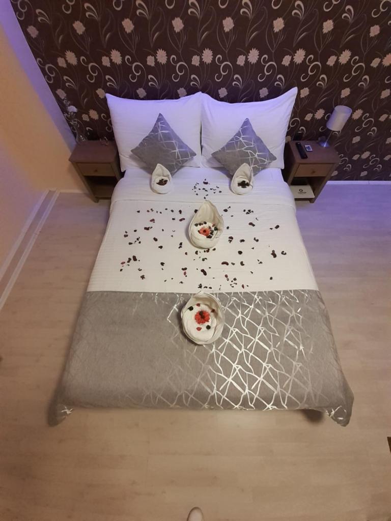 Apartmani CENTAR- Smederevo photo 3