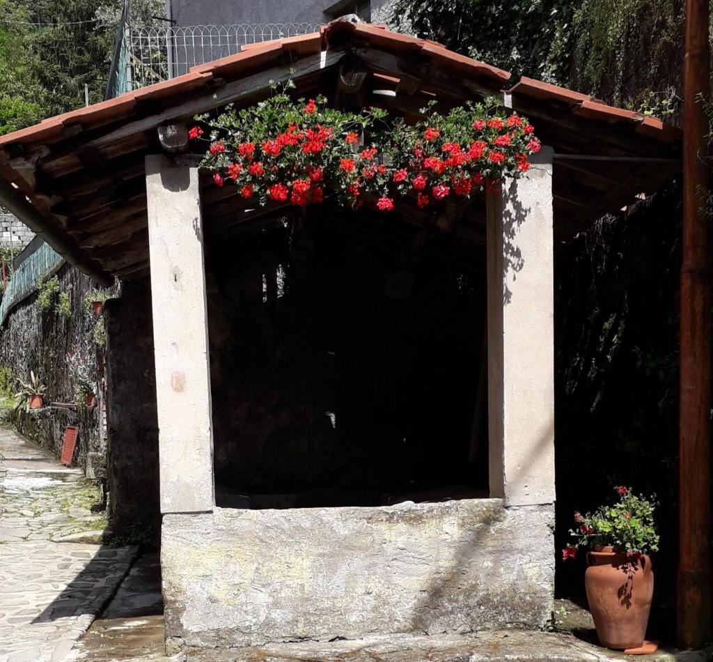 Casa Ginevra photo 4