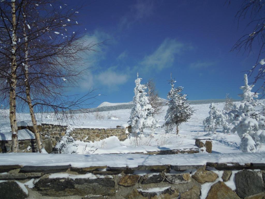 Le Francillon photo 4