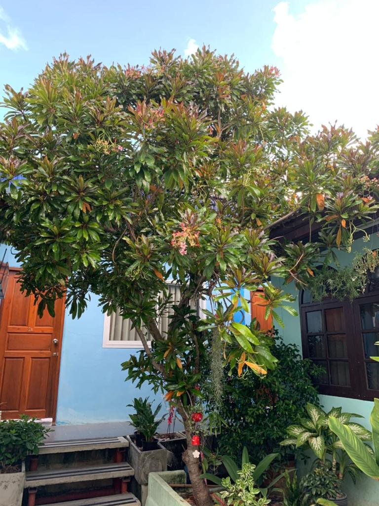 Двухместный (Стандартный номер с кроватью размера 