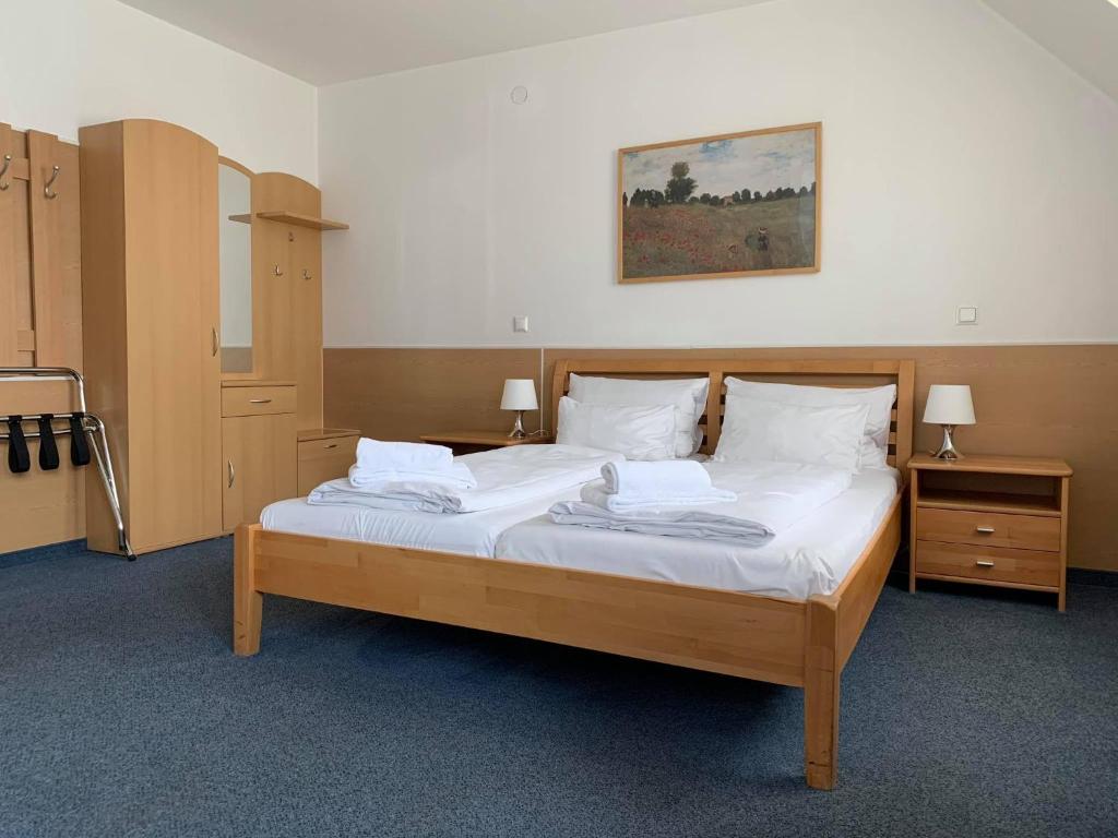 Двухместный (Стандартный двухместный номер с 1 кроватью), Hotel Donaustadt Kagran