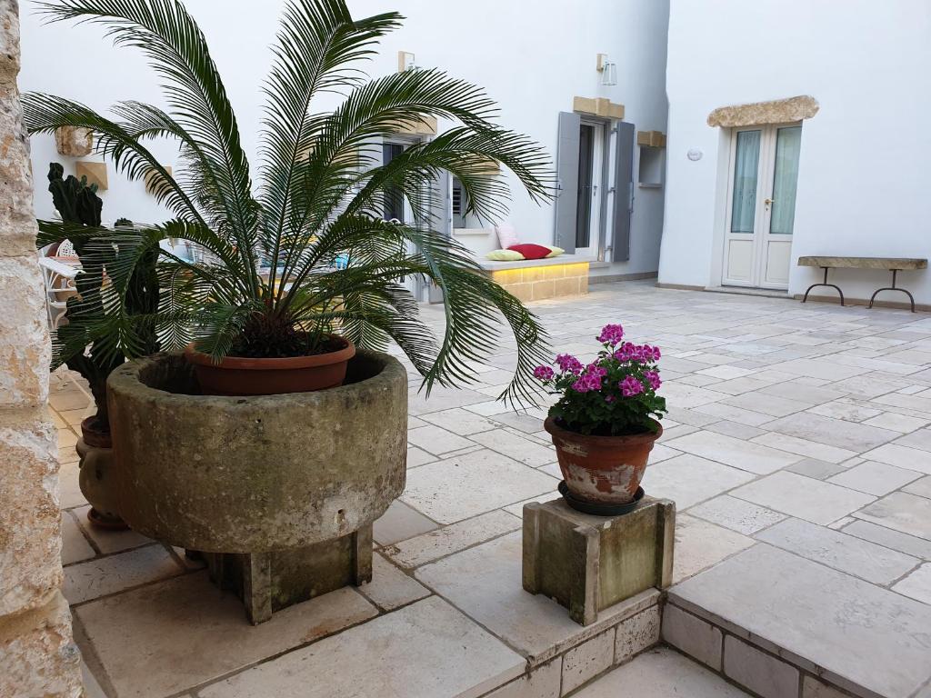 Le Casette Terreamare photo 3