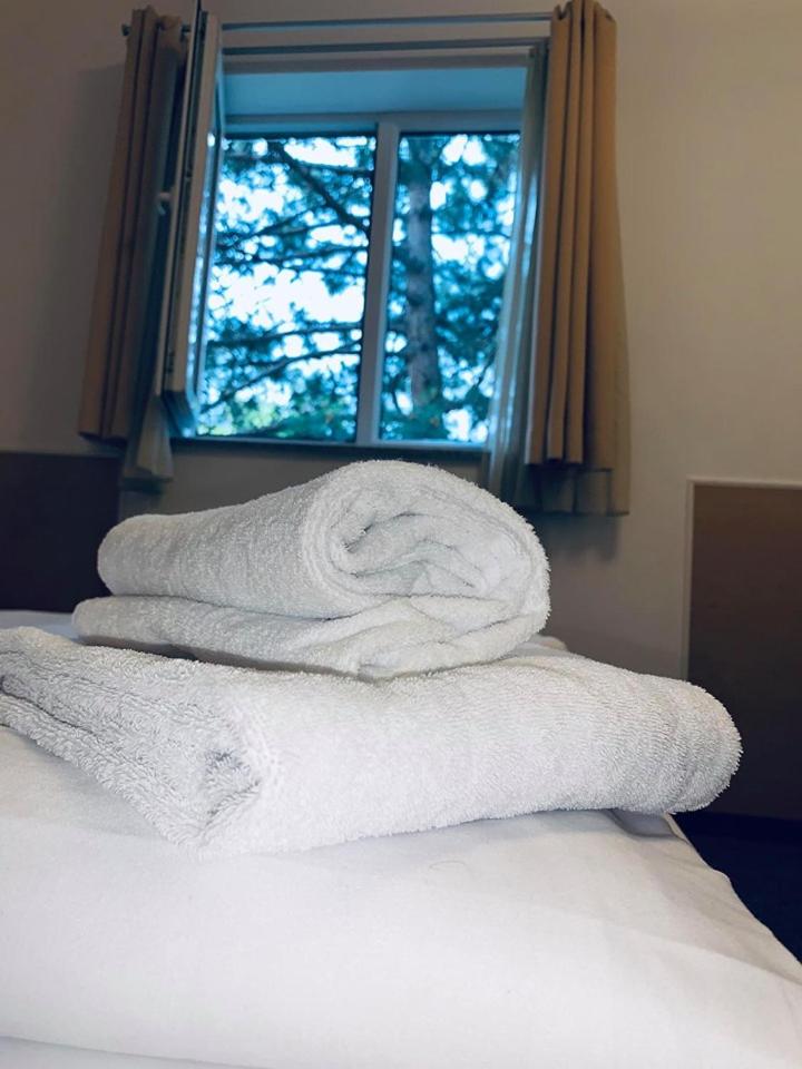 Одноместный (Одноместный номер), Hotel Donaustadt Kagran