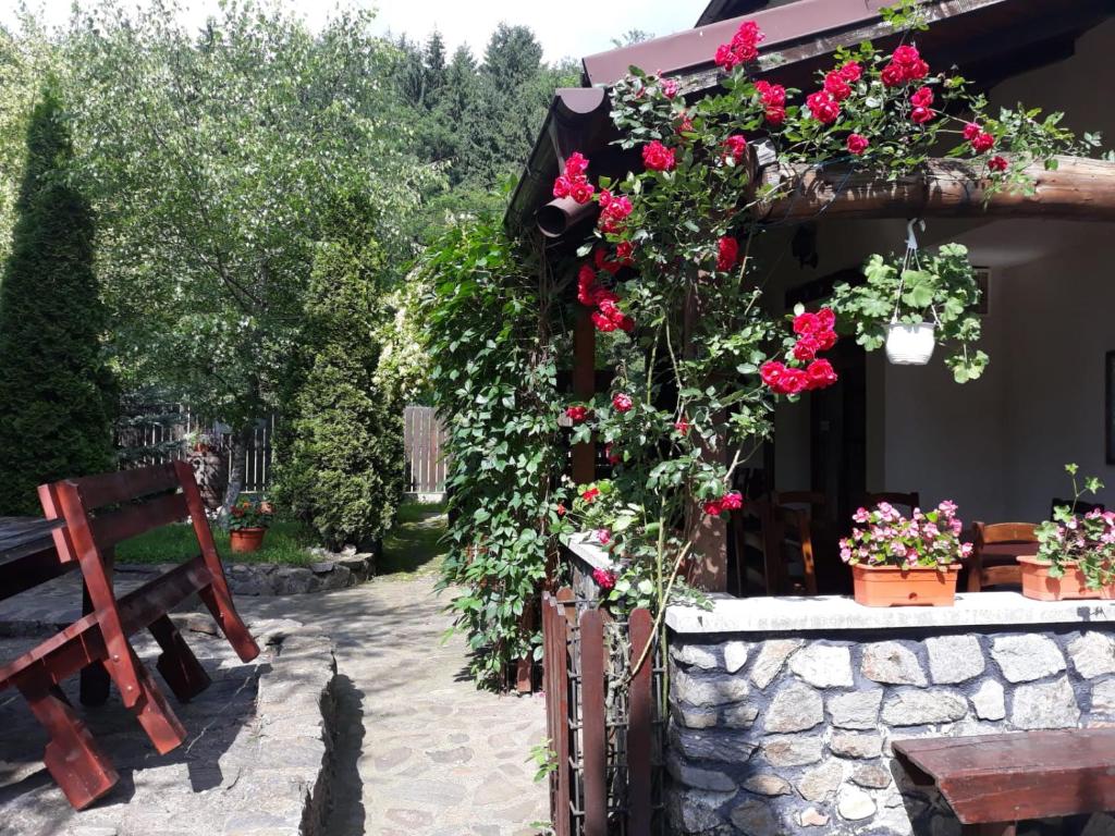 Pensiunea Trei Ponei photo 2