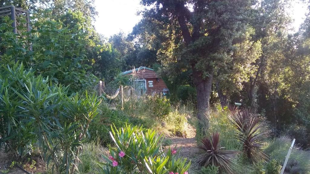 Le petit chalet photo 1