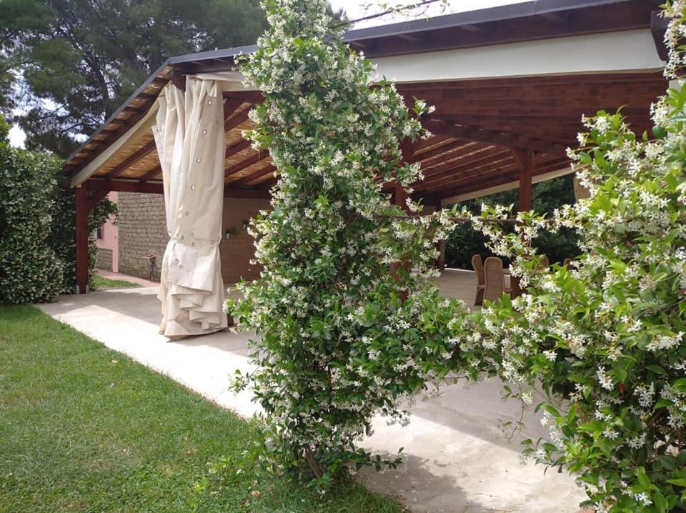 Agriturismo Il Selvello photo 4