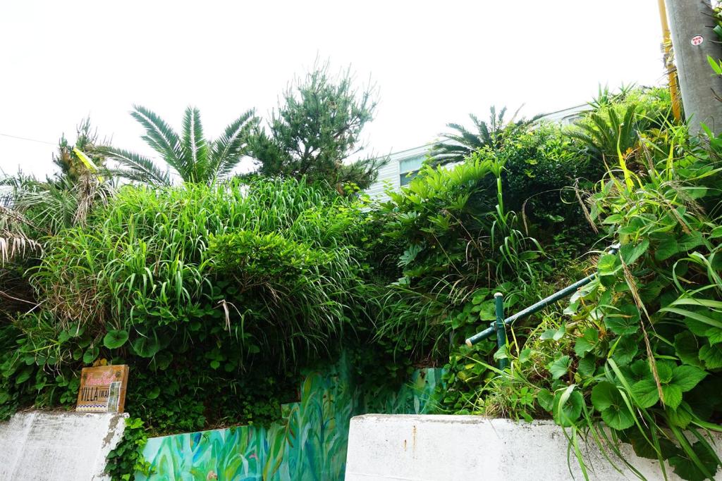 Minami bousou Ocean Front Vila Iwafune photo 4