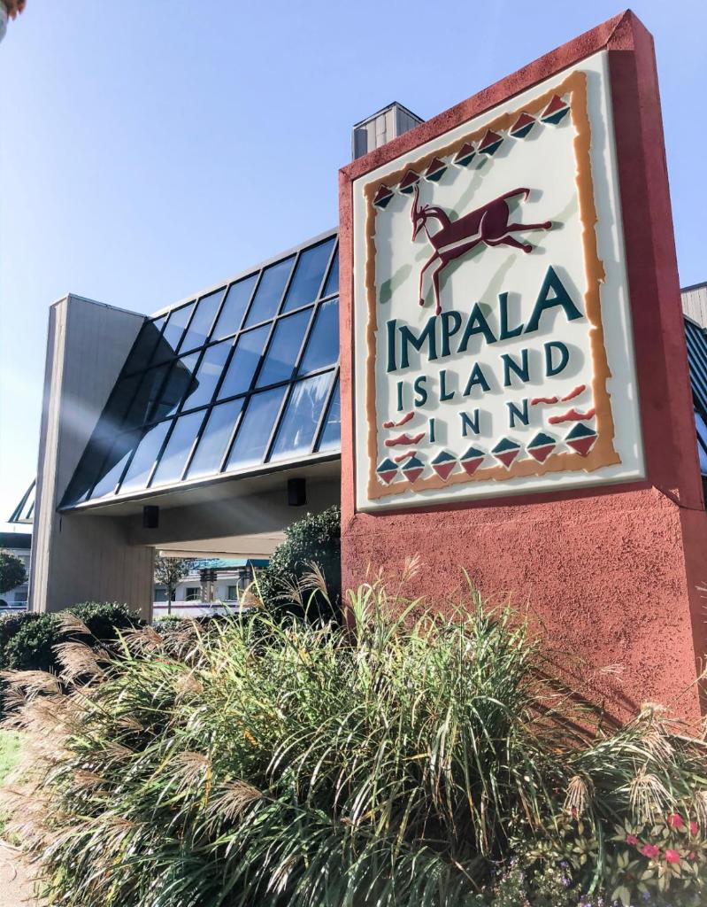 Impala Island Inn image
